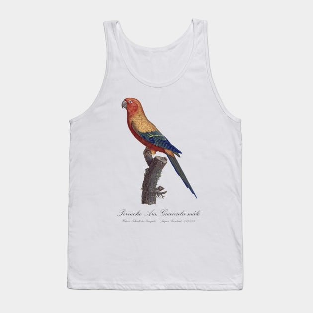 Sun Parakeet or Sun Conure / Perruche Ara, Guarouba male - Jacques Barraband 19th century Illustration Tank Top by SPJE Illustration Photography